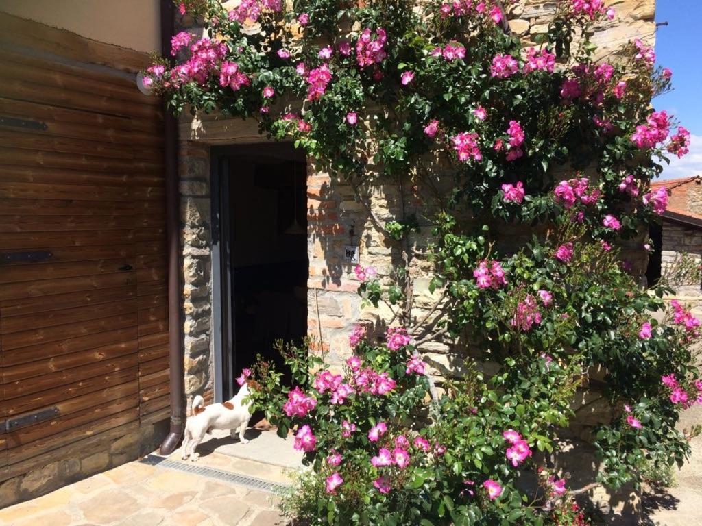 Nido d’amore nei colori Dernice Esterno foto