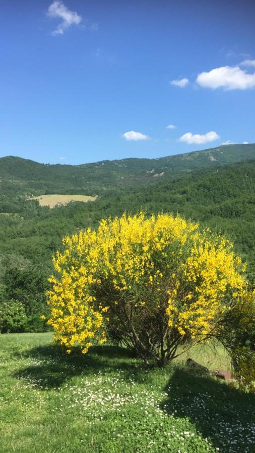Nido d’amore nei colori Dernice Esterno foto
